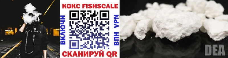 omg вход  Мензелинск  Кокаин Fish Scale  купить наркотики цена 