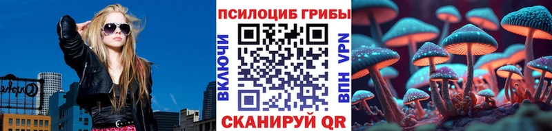 где найти Мензелинск Псилоцибиновые грибы Cubensis